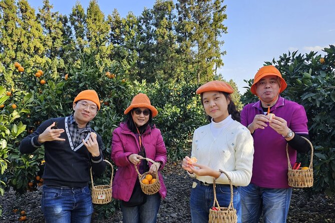 Jeju Island Jumbo Taxi Private Tour With Mr.Hong West of Jeju - Cancellation Policy