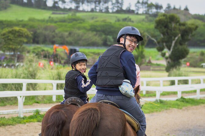 Jeju Island Popular Sightseeing Private Car Charter Tour 5/9hours - FAQ