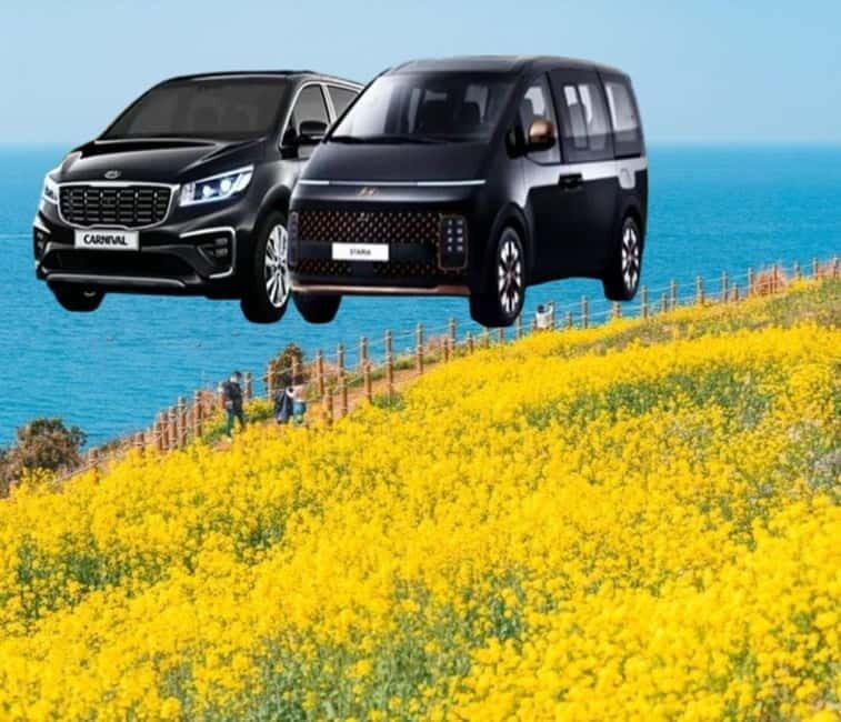 Jeju Island: Private Car Charter Tour - Good To Know
