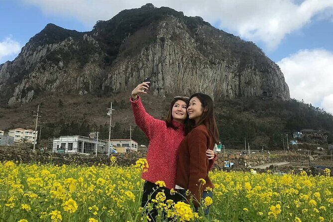 Jeju Island Private Charter Regular Taxi Tour and Free Schedule - The Sum Up