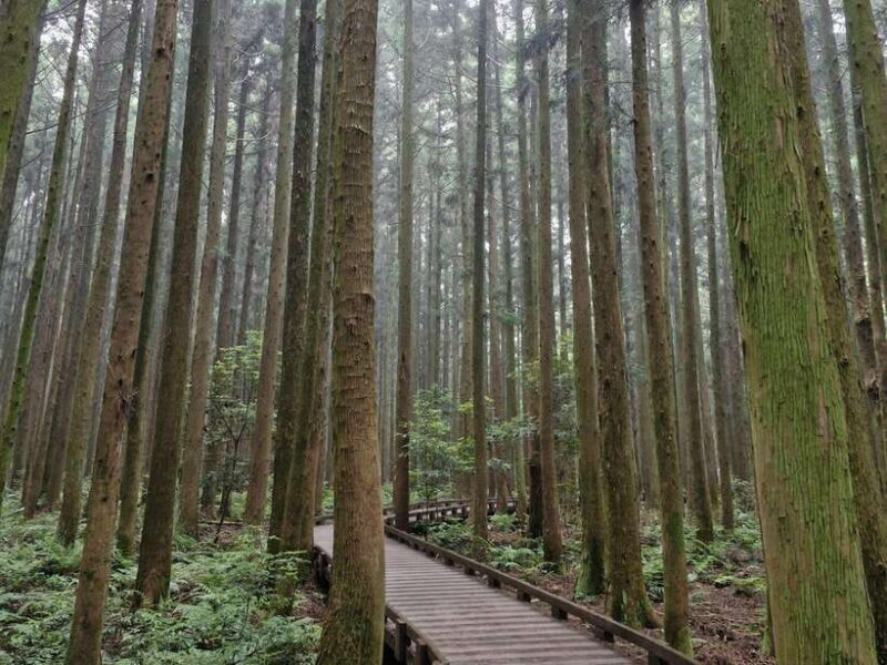 Jeju Island: Private Tour with Driving guide - Artistic and Historical Stops