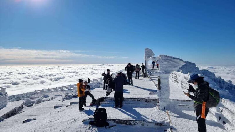 Jeju Island: Private Tour with Driving guide - Who Should Consider This Tour?