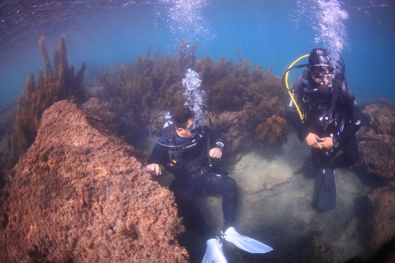 Jeju Island Scuba Diving Experience - What Happens at Seongsan Scuba