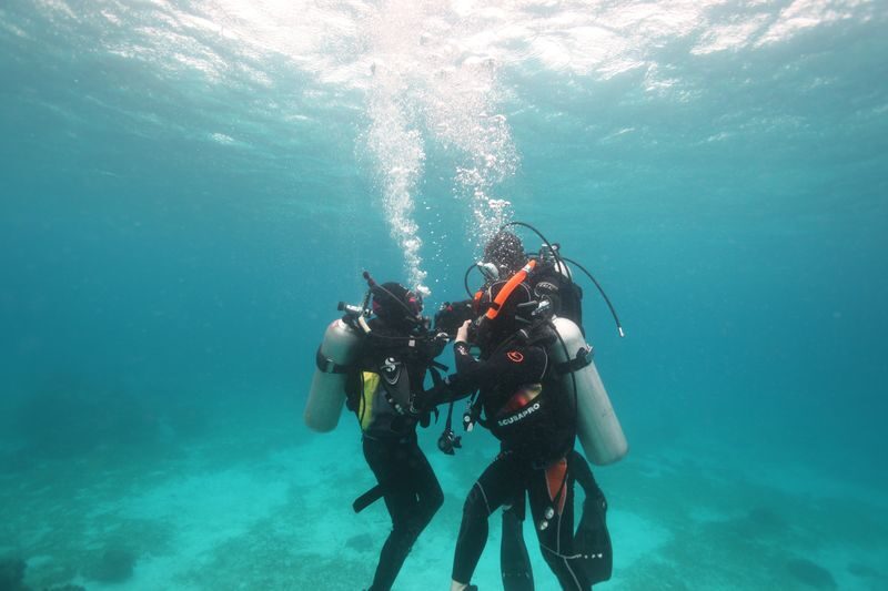 Jeju Island Scuba Diving Experience - Gear, Photos, and the Real Cost