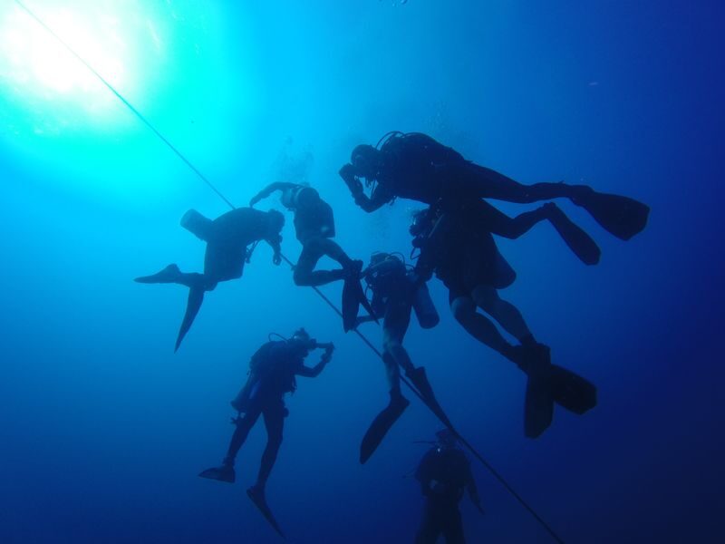 Jeju Island Scuba Diving Experience - Choosing a Time and Keeping Plans Flexible