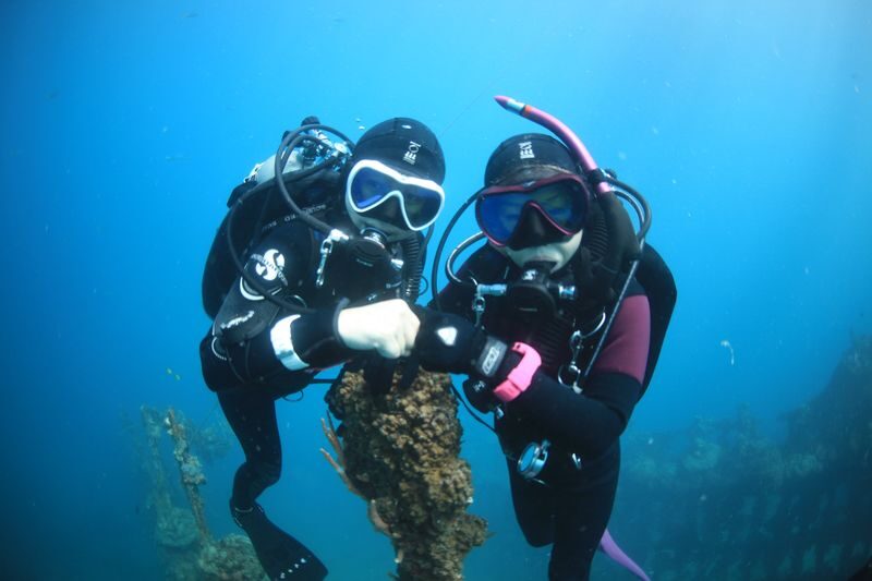 Jeju Island Scuba Diving Experience - Who Will Get the Most From This Experience