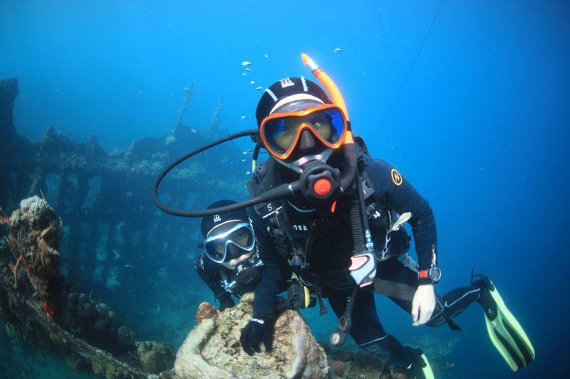 Jeju Island Scuba Diving Experience - Should You Book It?