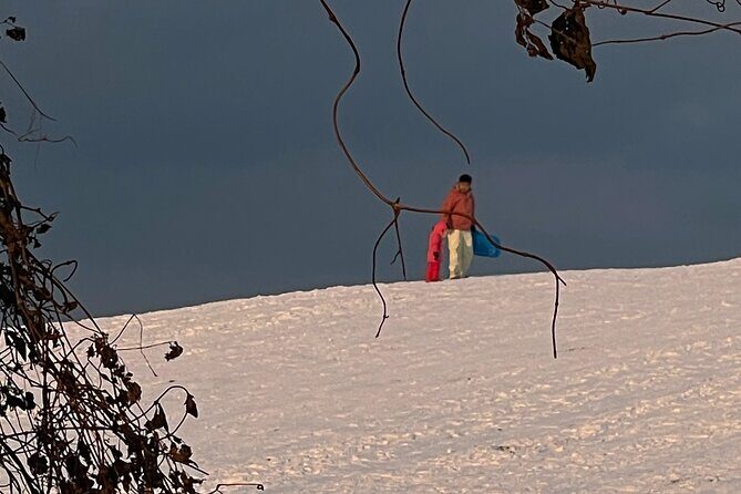 Jeju Island Snow Flower Tracking and Private Sledding Adventure - Final Thoughts