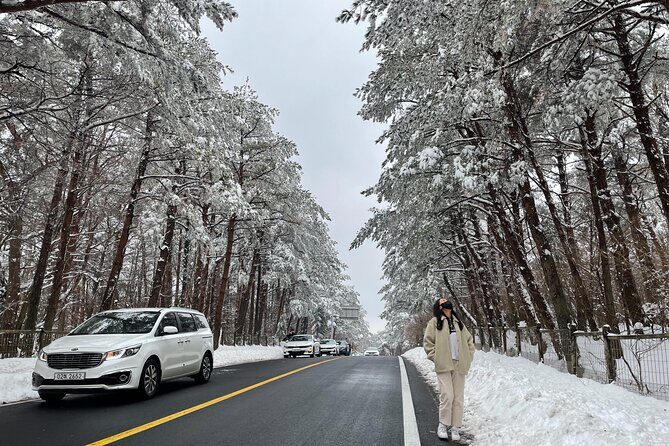 Jeju Island Snow Flower Tracking and Private Sledding Adventure - Discover Jeju’s Winter Charm with the Snow Flower Tracking and Sledding Adventure