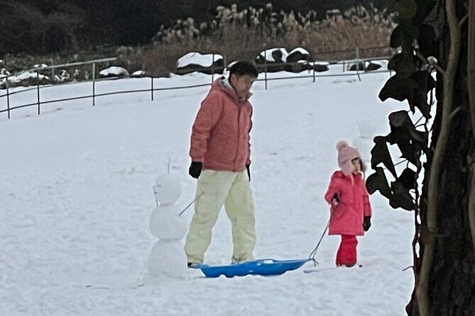 Jeju Island Snow Flower Tracking and Private Sledding Adventure - Who Will Love This Tour?