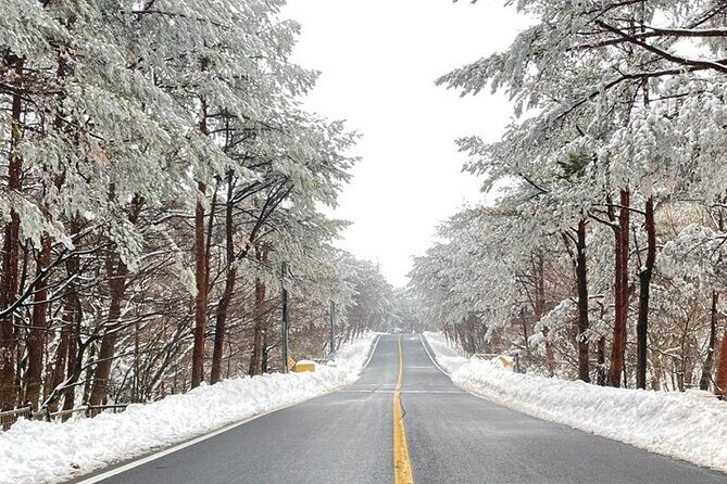 Jeju Island Snow Flower Tracking and Private Sledding Adventure - Final Thoughts
