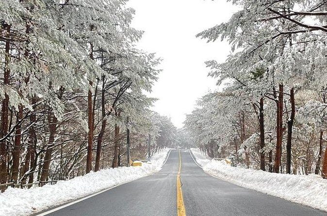 Jeju Island Snow Flower Tracking and Private Sledding Adventure - FAQ