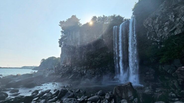 Jeju Island South Bus Tour With Lunch Included Full Day Trip - Tour Duration and Flexibility