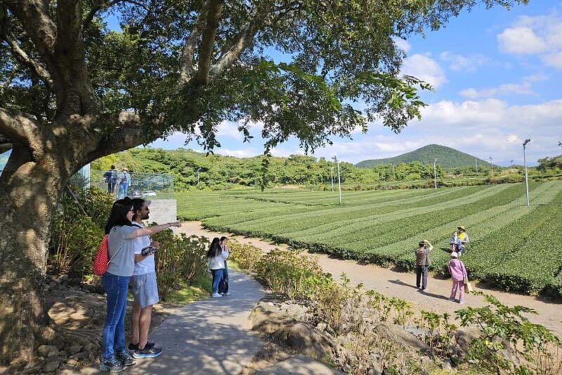 Jeju Island: SouthWest UNESCO Highlights Full-Day Tour - Good To Know