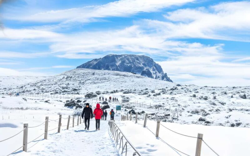 Jeju Island: SouthWest UNESCO Highlights Full-Day Tour - What It Feels Like to Travel on This Tour
