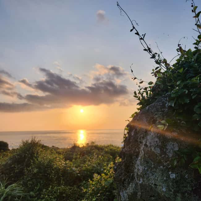 Jeju Island: Sunrise Guided Tour with Hotel Pickup - FAQ