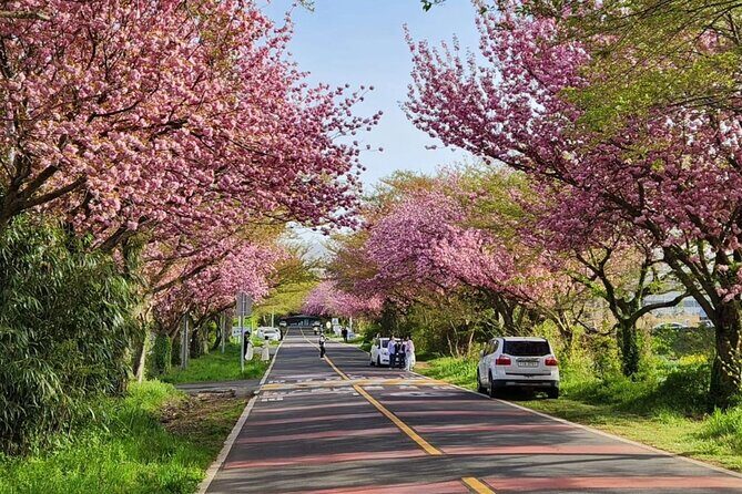 Jeju Island UNESCO small group day tour(Taxi, van & bus) - Final Thoughts