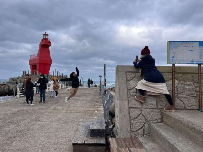 Jeju island: Van tour with a guide who the most loves JEJU - FAQ