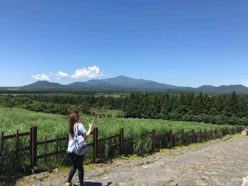 Jeju island: Van tour with a guide who the most loves JEJU - Good To Know