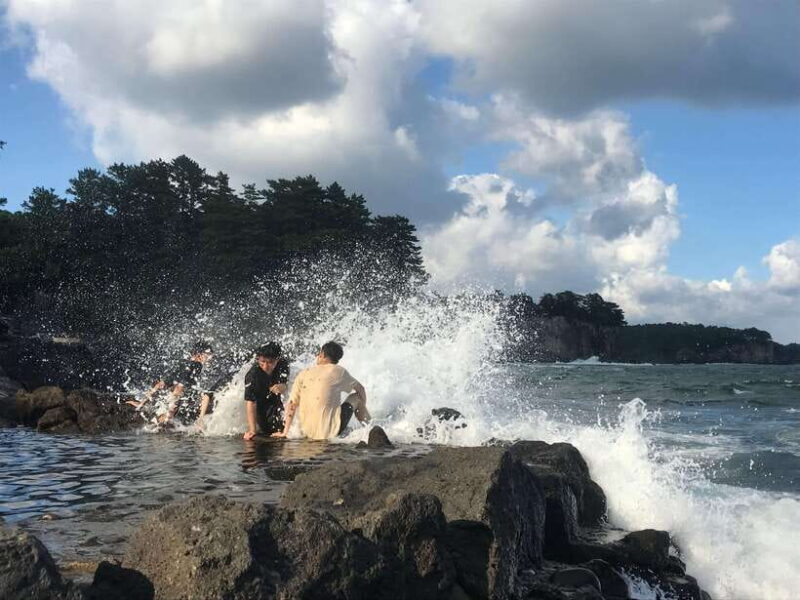 Jeju island: Van tour with a guide who the most loves JEJU - Who Will Love This Tour?