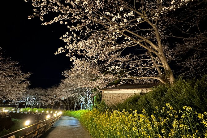 Jeju King Cherry Blossom Natural Habitat Small Group Tour - Cancellation Policy