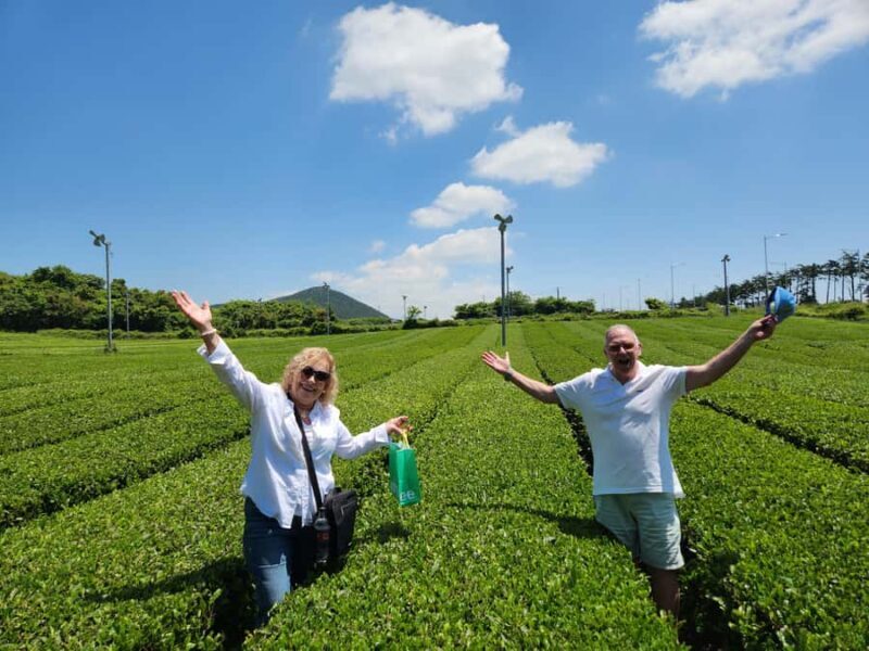 Jeju: Luxury Private Tour with UNESCO Sites & Yacht Cruise - Good To Know  