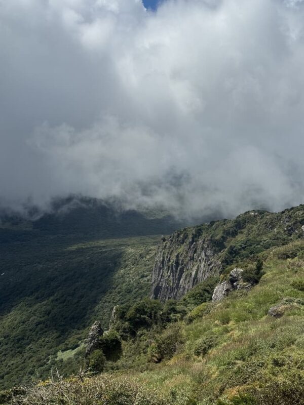 Jeju Mount Hallasan Hiking Experience - South Koreas Highest Peak - What the price includes, and what it does not