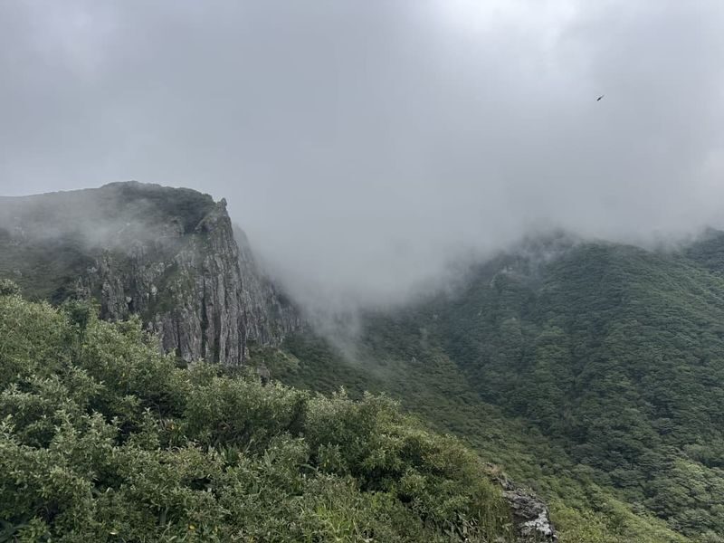 Jeju Mount Hallasan Hiking Experience - South Koreas Highest Peak - Who should choose this Hallasan outing?