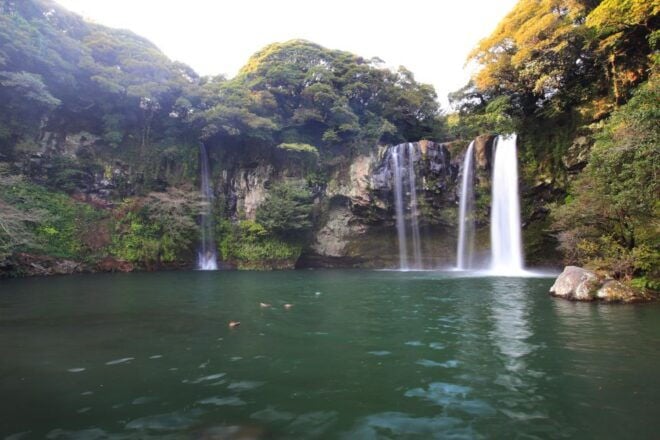 Jeju: Mt. Hallasan Small-Group Nature Hike & Lunch - Important Information