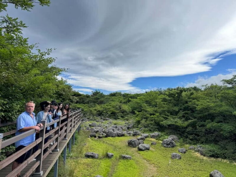 Jeju: Popular Sightseeing Private Car Charter Tour - The Downside to Consider