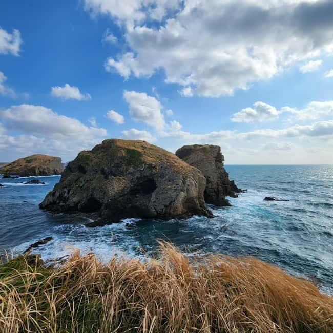 Jeju: Popular Sightseeing Private Car Charter Tour - FAQ