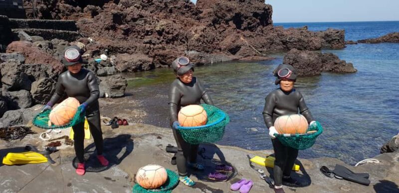 Jeju: Premium Small Group UNESCO Day Tour - East Coast - What To Expect: Practical Details and Tips