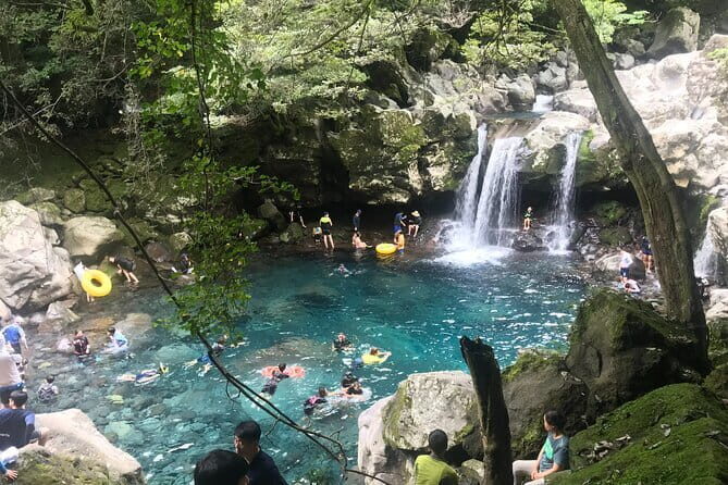 Jeju Private Day Tour from Gangjeong Cruise Terminal. - The Sum Up