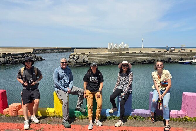 Jeju Private Day Tour with Jeju Cruise Terminal Pickup - Who Should Book This Tour?