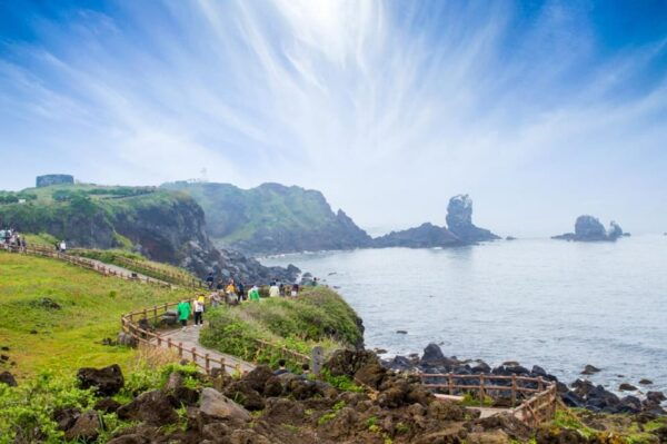Jeju: Private Guided Taxi Tour - Car Charter - Customer Experiences
