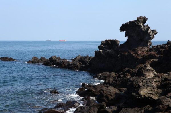 Jeju: Private Guided Taxi Tour - Car Charter - Additional Services Available