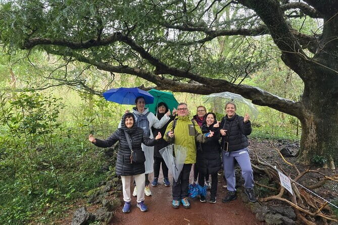 Jeju Private Half-Day Tour for Cruise Customers - An In-Depth Look at the Jeju Private Half-Day Tour