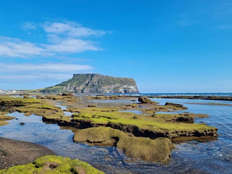 Jeju Private Taxi Tour with a Licenced English Guide-Driver - Who Will Love This Tour?