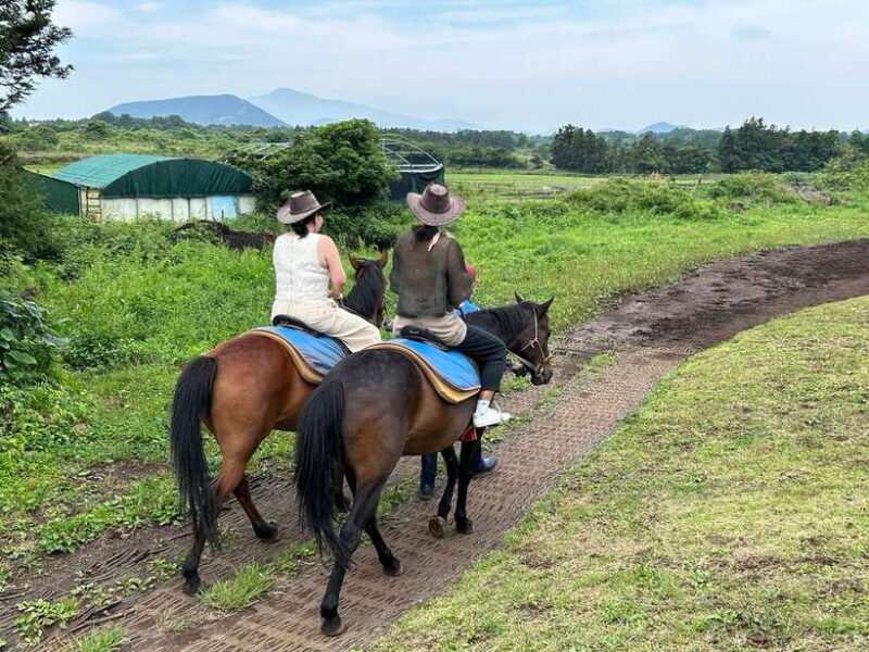 Jeju: Private Tour with an English Guide and a Vehicle - FAQ