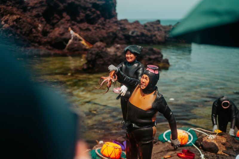 Jeju Purple & K-Drama Small Group Tour (East/West/South) - Active Park: budget extra for climbing or go-karts