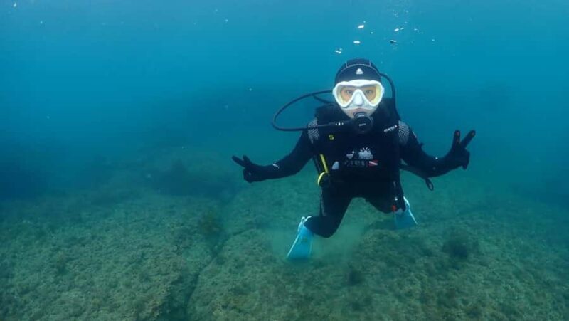 Jeju: Scuba Diving Experience near Seongsan Ilchulbong - Who Should Consider This Tour?