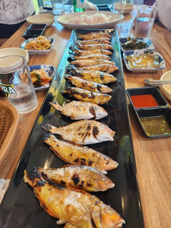 Jeju Sea Boat Fishing Tour with Lunch Included - Who will get the most from it