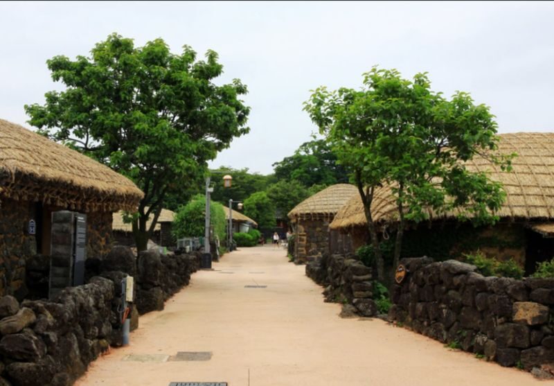 Jeju Seasonal Day Tour-Pink muhly &UNESCO Sites(East/SouthWest/West) - Ending near Dongmun Market