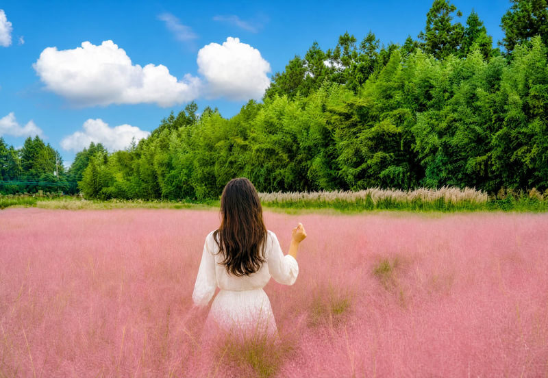Jeju Seasonal UNESCO Highlights Tour | Lava cave,Hallasan,Lava Cliff - What makes this Jeju day worth considering