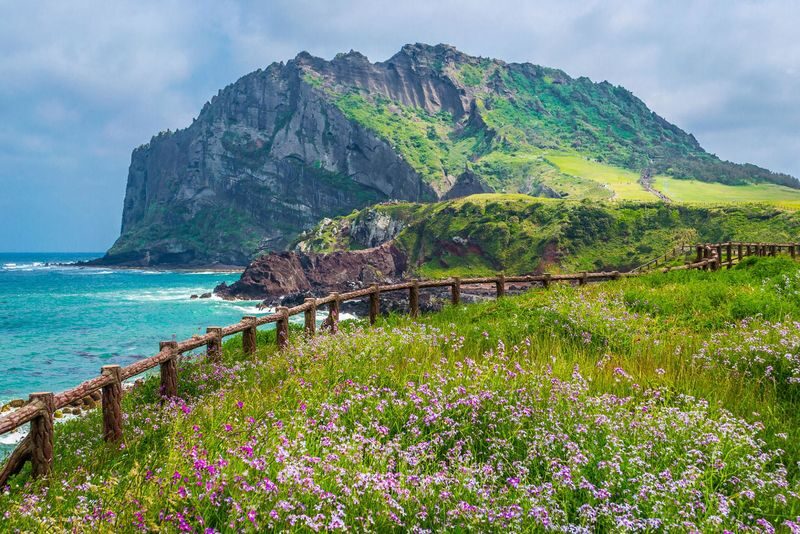 Jeju Seongsan Ilchulbong & Udo Island Full-Day Tour - Key points to know before you go