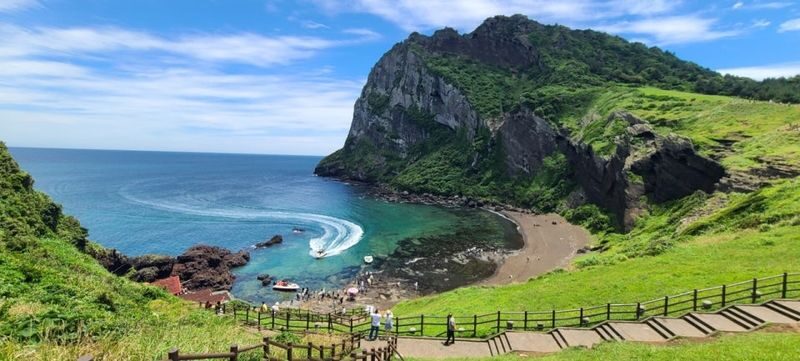 Jeju Seongsan Ilchulbong & Udo Island Full-Day Tour - Who should book this Jeju day tour?