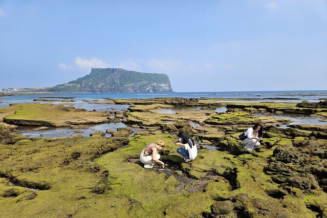 Jeju Shore Excursion for Cruise Passengers: UNESCO & Highlights - What Could Be Better?