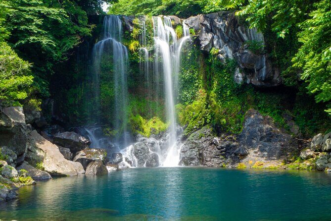 Jeju Shore Excursion for Cruise Passengers: UNESCO & Highlights - Who Is This Tour Best For?