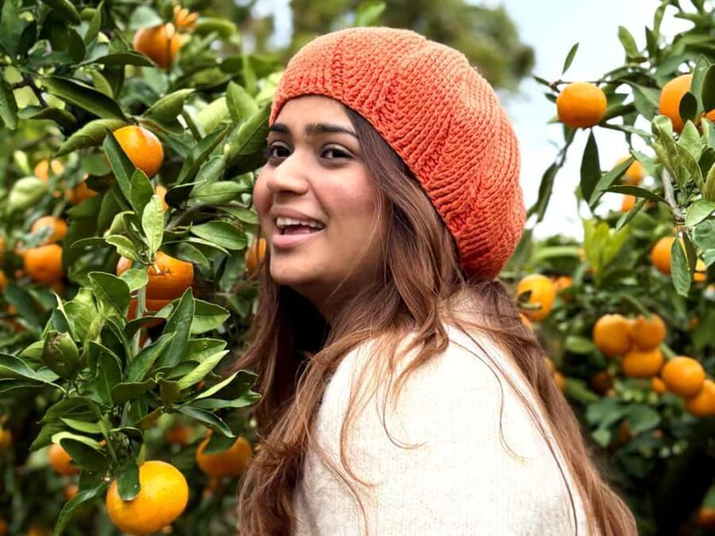 Jeju: Small Group Tour w/ Camellia & Tangerine Picking - Practical Details and What to Expect