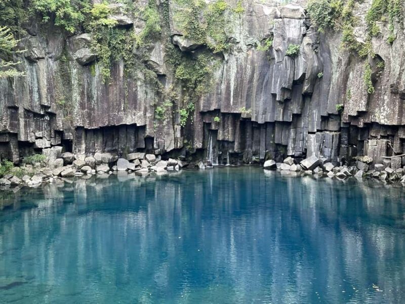 Jeju: Small Group Tour w/ Camellia & Tangerine Picking - The Sum Up